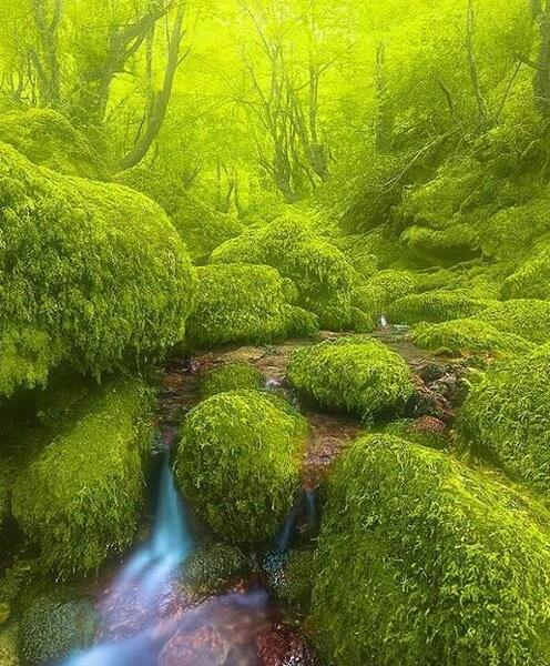 بهشت عکس خدا واقعی زیبا