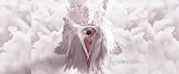 عکس خدا خدا چه شکلیه