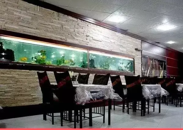 عکس هتل آپارتمان آلما مشهد