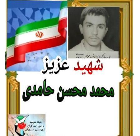 عکس شهید محسن حمیدی