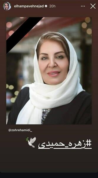 عکس حسین حمیدی شوهر زهره حمیدی