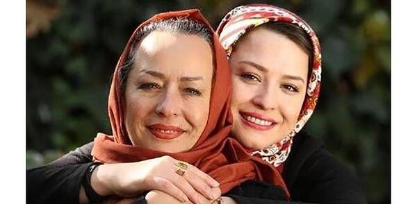عکس حامد شریفی نیا