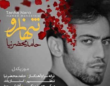 عکس خواننده حامد محضرنیا