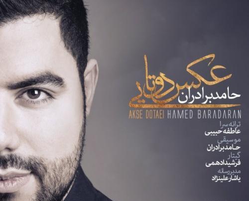 عکس خواننده حامد برادران