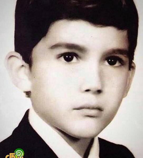 عکس خواننده حامد بهداد