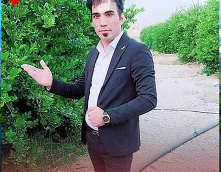 عکس خواننده حامد پناهی