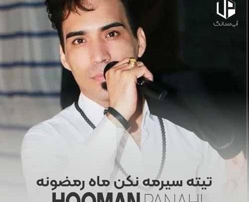 عکس خواننده حامد پناهی