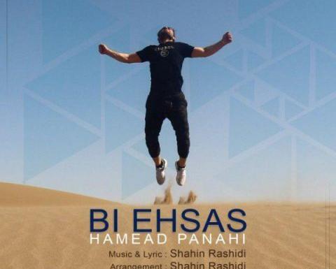 عکس خواننده حامد پناهی