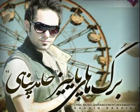 عکس خواننده حامد پناهی