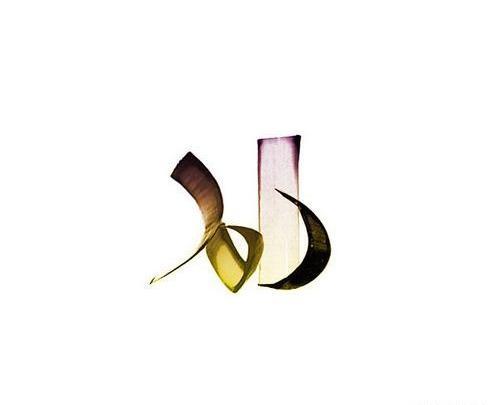 عکس پروفایل حامد