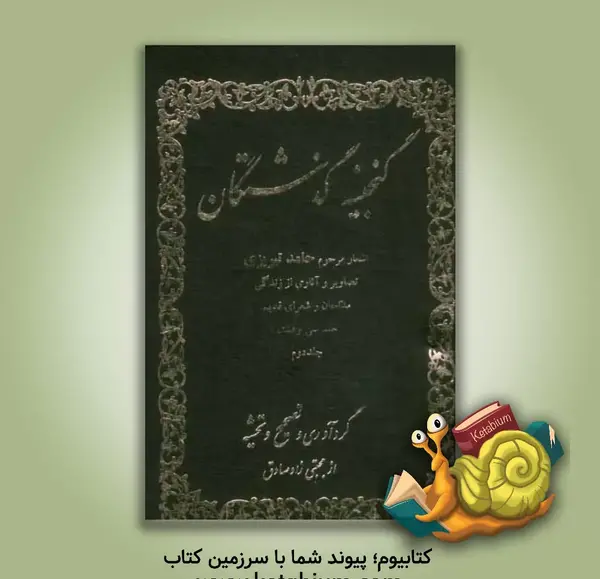 عکس حامد تبریزی در کربلا