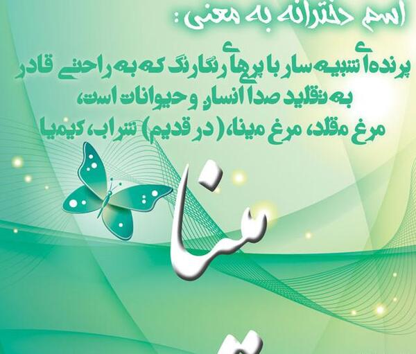 عکس معنی اسم مینا