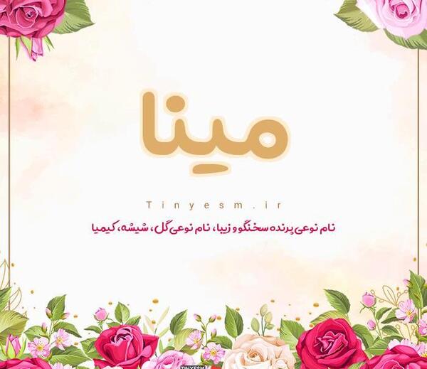 عکس معنی اسم مینا