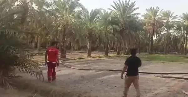 عکس یسنا کوچولو که گم شده