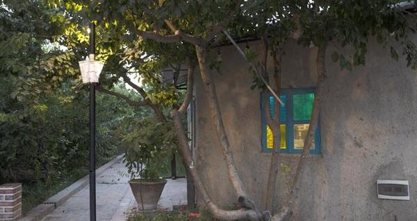 عکس دکتر حسن اکبری طب سنتی