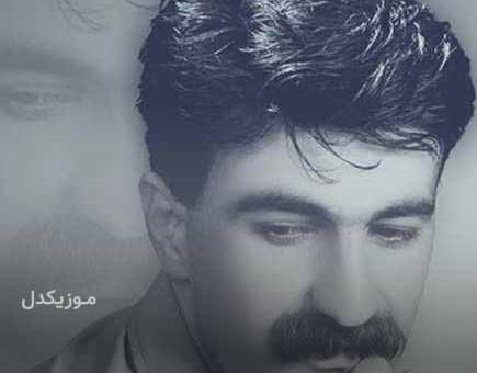 عکس های حمید حمیدی