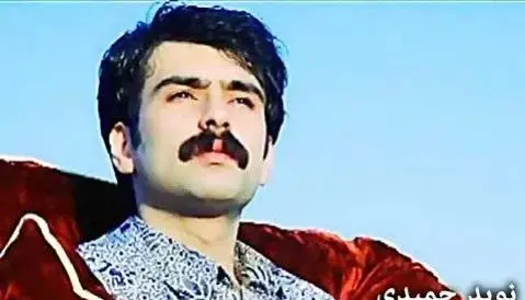 عکس های حمید حمیدی