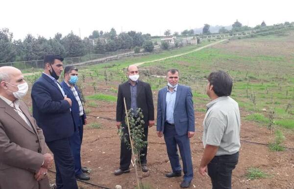 عکس حمید کشاورزی