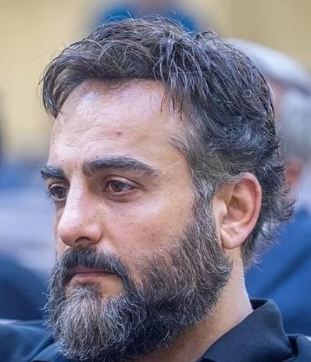 عکس های حامد کمیلی جدید