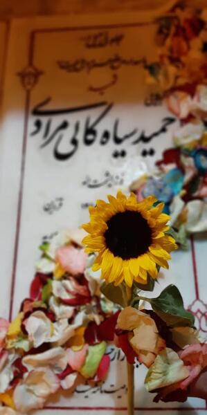 عکس مزار شهید حمید سیاهکالی مرادی