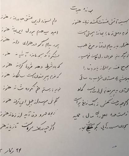 عکس حمید سبزواری شاعر