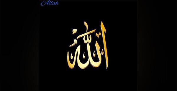 عکس خواننده حمیدرضا ذاکری