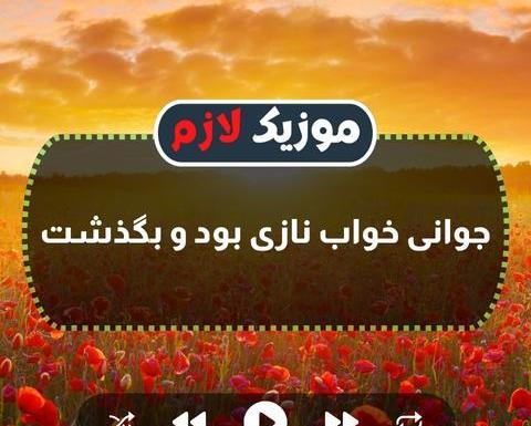 عکس حمید رضا ذاکری