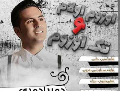 عکس حمید احمدی خواننده