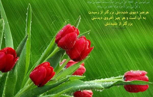 عکس گل حدیث