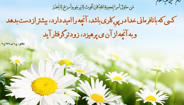 عکس گل حدیث