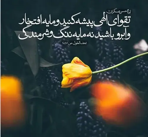 عکس حدیث از امام حسن عسکری