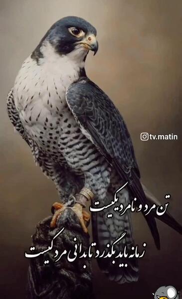 عکس وحید مرادی با سید حسین حسینی