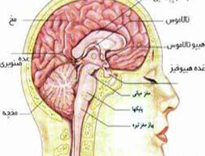 عکس طرح جابر برای کلاس پنجم