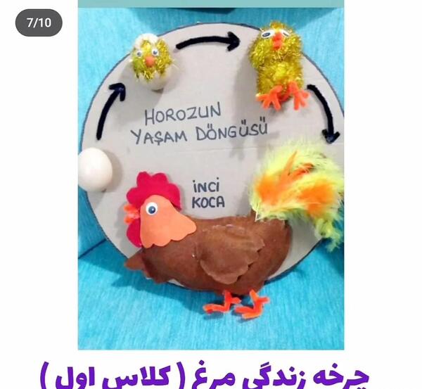 عکس طرح جابر برای کلاس سوم