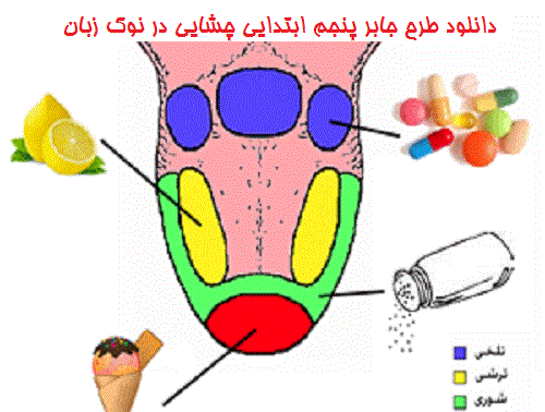 عکس های طرح جابر کلاس پنجم