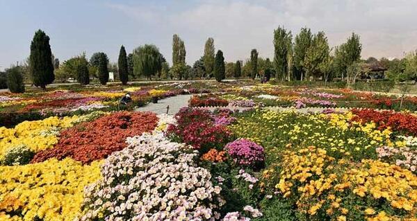عکس فاطیما جابری در کره جنوبی