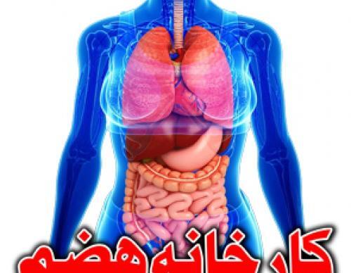 عکس از جابر ابن حیان