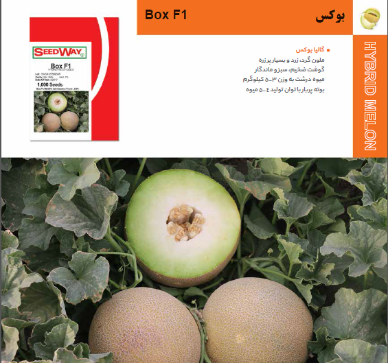عکس جانان میوه
