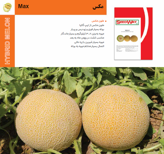 عکس جانان میوه