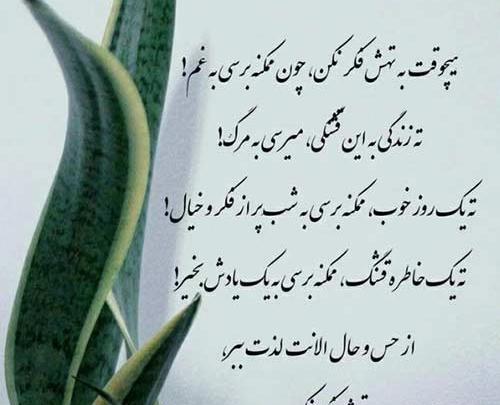 عکس مرتضی جعفرزاده با همسرش