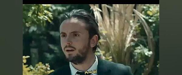 عکس تمساح جلیل در گودال