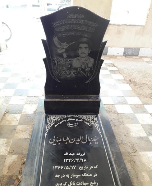 عکس سید جلال طباطبایی