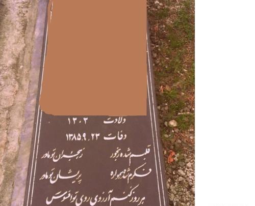 عکس مادر جواد یساری