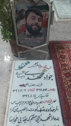 عکس جواد محمدیان