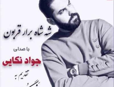 عکس پسر جواد نکایی