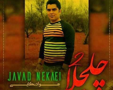 عکس پسر جواد نکایی