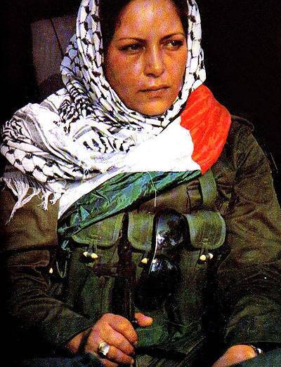 عکس محمد جواد قدیری