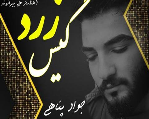 عکس جواد پناهی خواننده