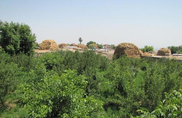 عکس روستای ثمرین اردبیل