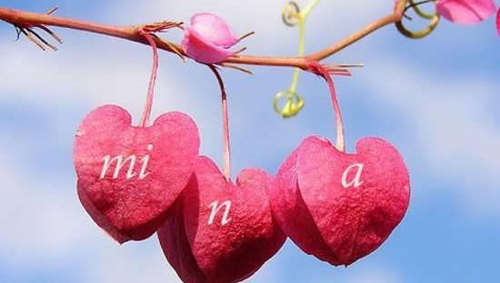 عکس های پروفایل مینا